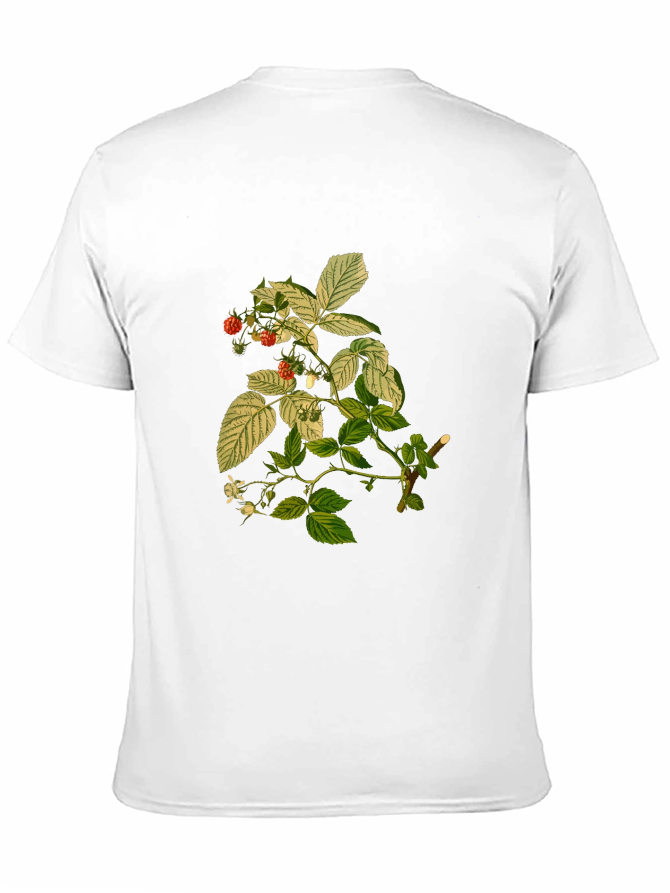 Botanical Print Tee - Black Cotton T-Shirt
