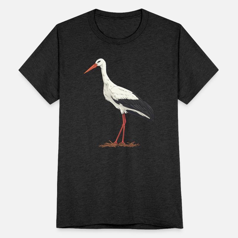 Stork Bird Ornithology Bird Watching