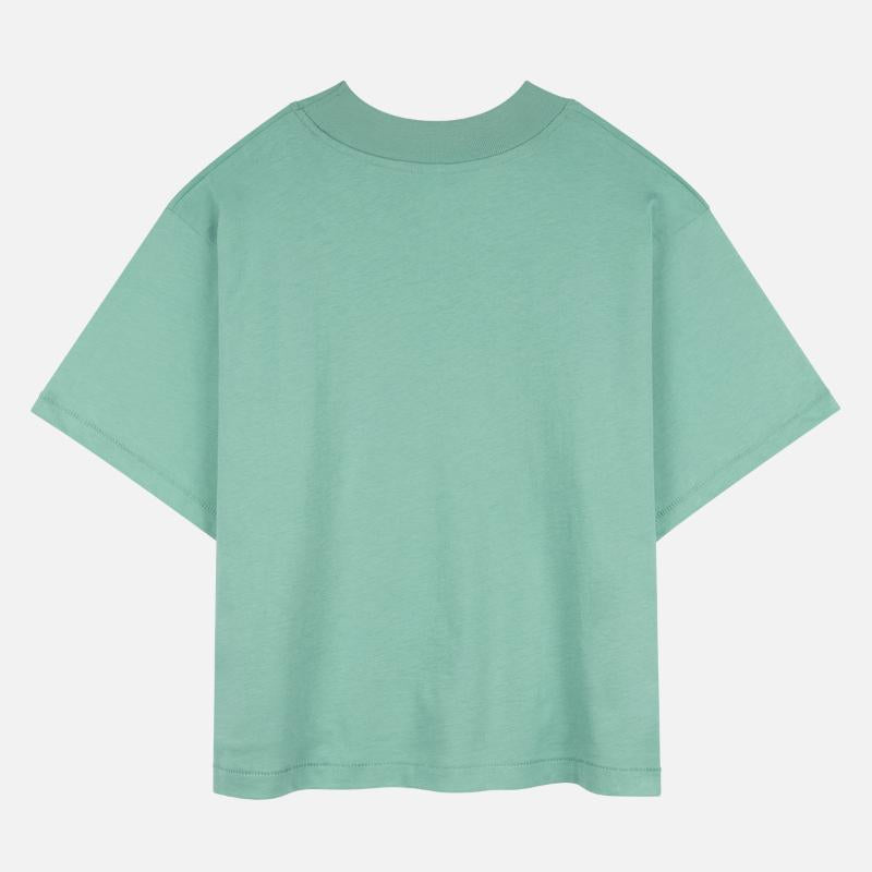 Wild Fire Warlord Chimp For ChimpLovers.