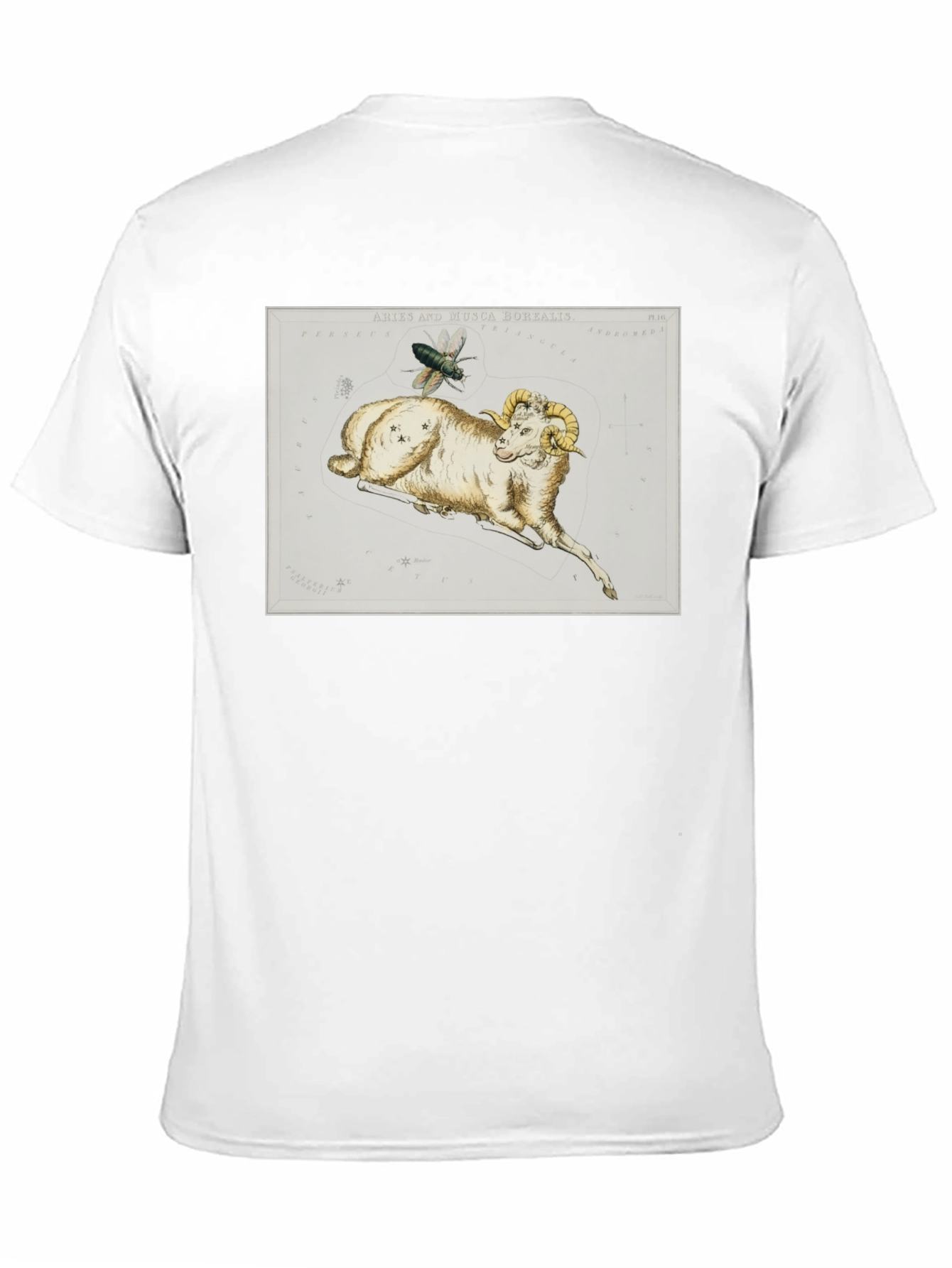 Aries Ram Constellation T-Shirt - Unique Design