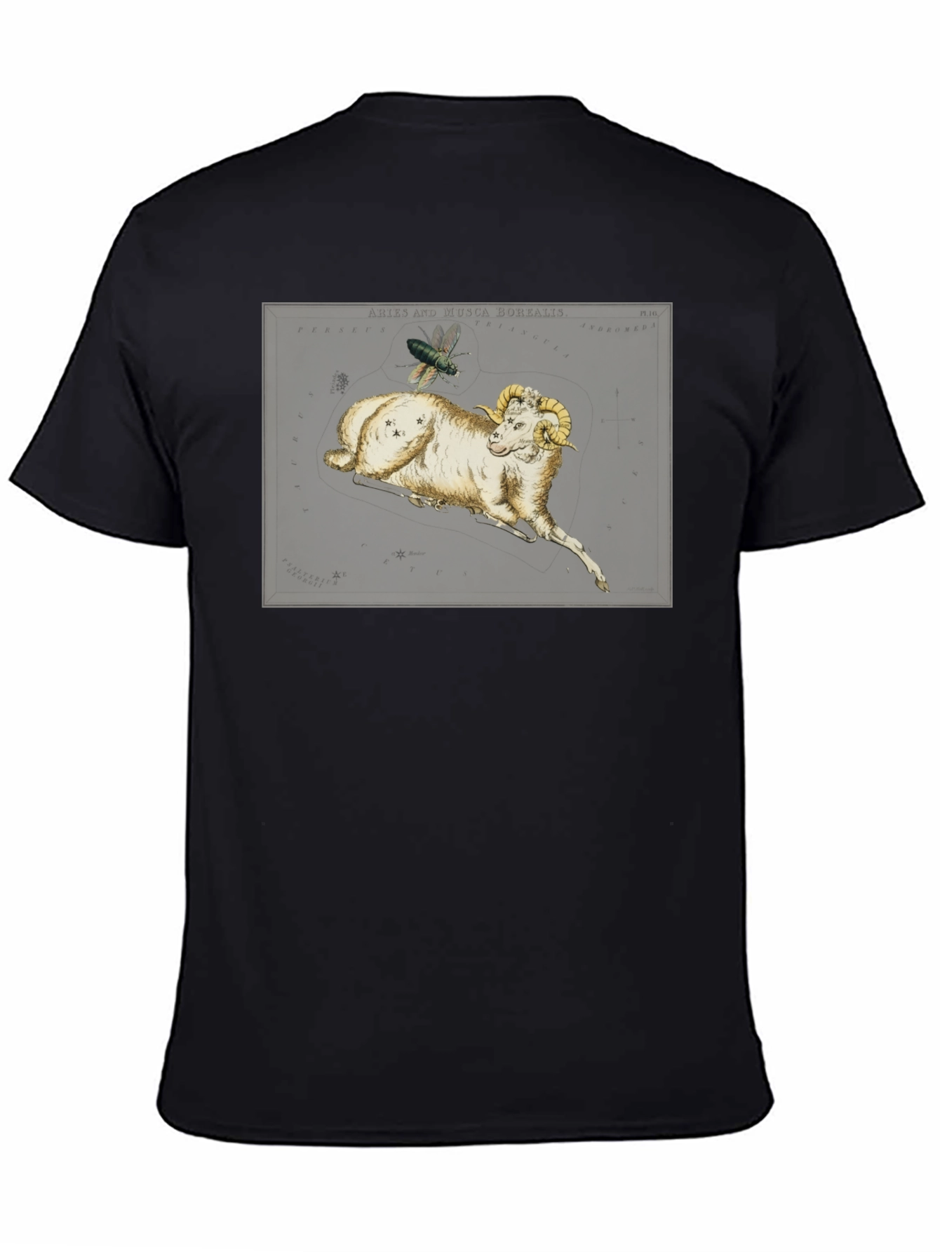 Aries Ram Constellation T-Shirt - Unique Design