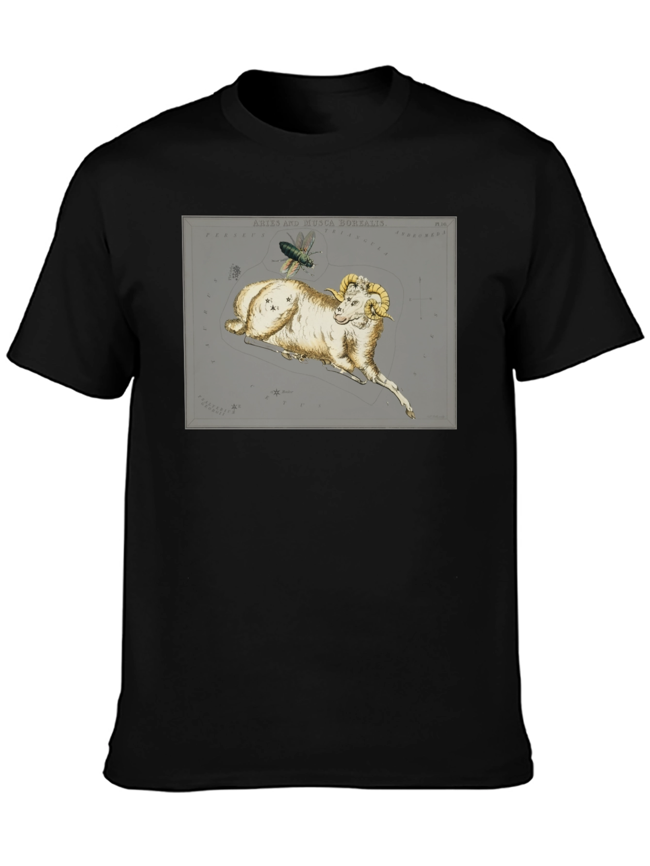 Aries Ram Constellation T-Shirt - Unique Design