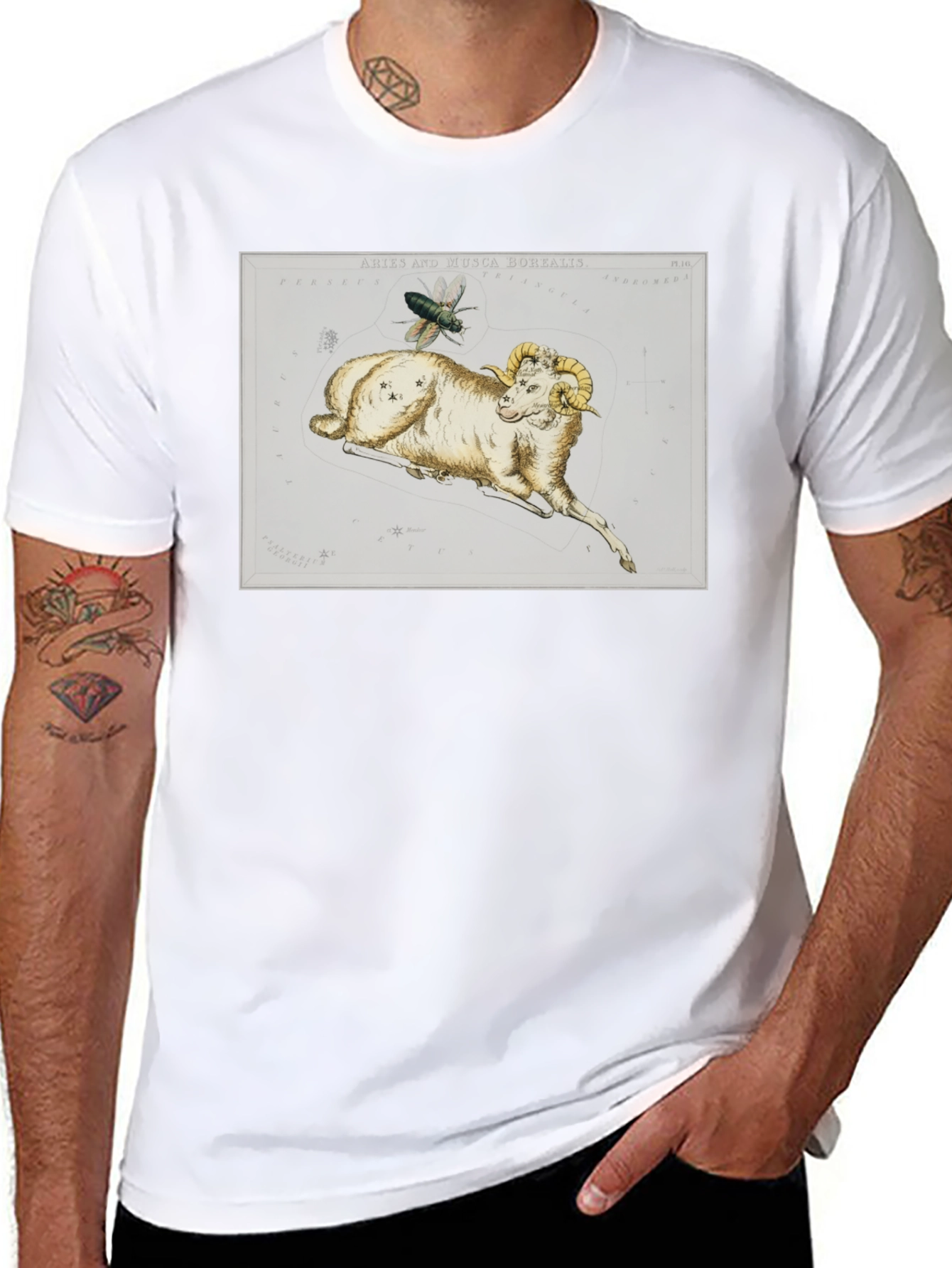 Aries Ram Constellation T-Shirt - Unique Design