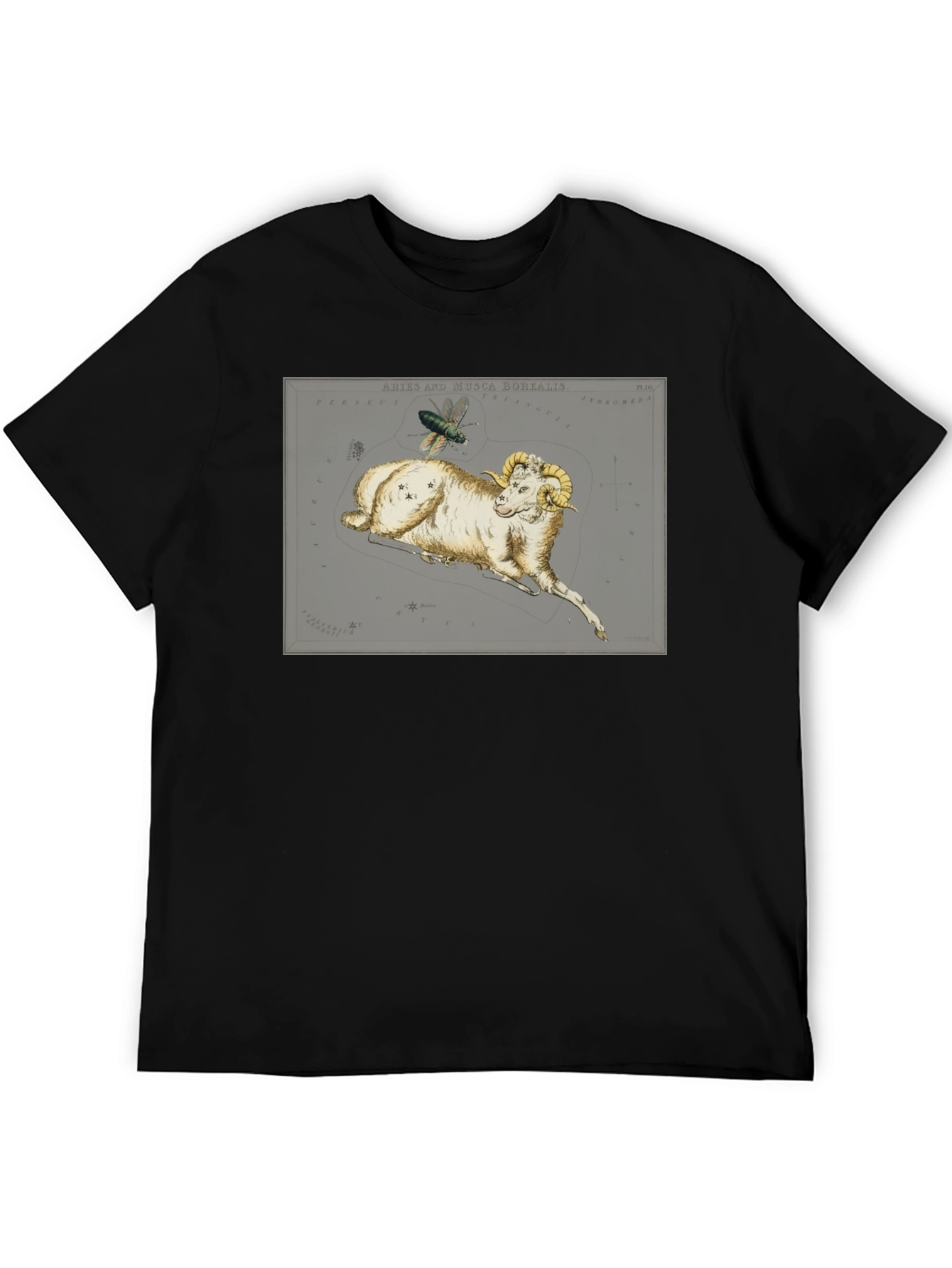 Aries Ram Constellation T-Shirt - Unique Design