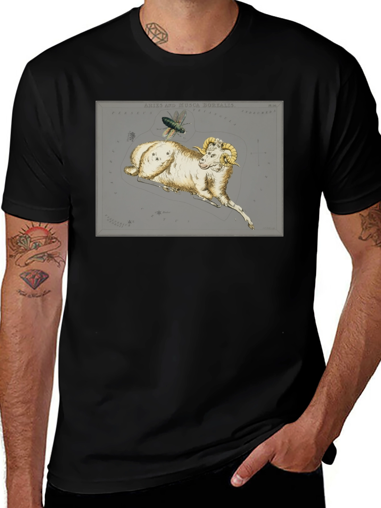 Aries Ram Constellation T-Shirt - Unique Design
