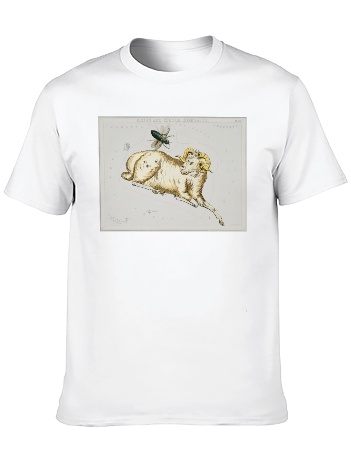 Aries Ram Constellation T-Shirt - Unique Design