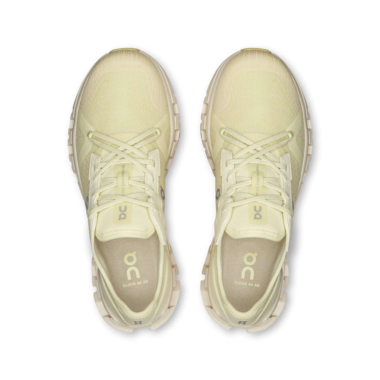 Cloud X 4 AD Seedling | Ghost