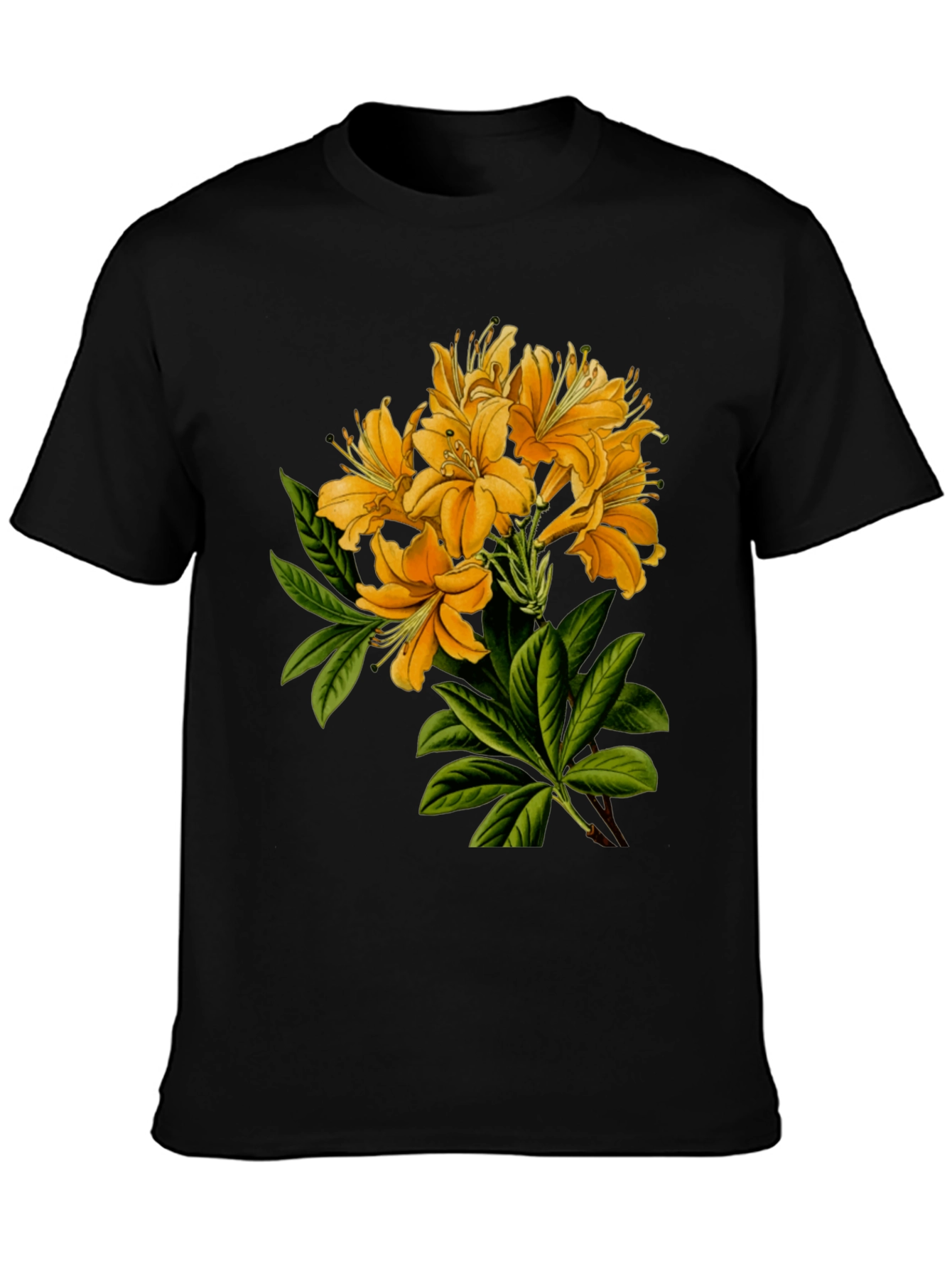 Floral Print Crew Neck T-Shirt