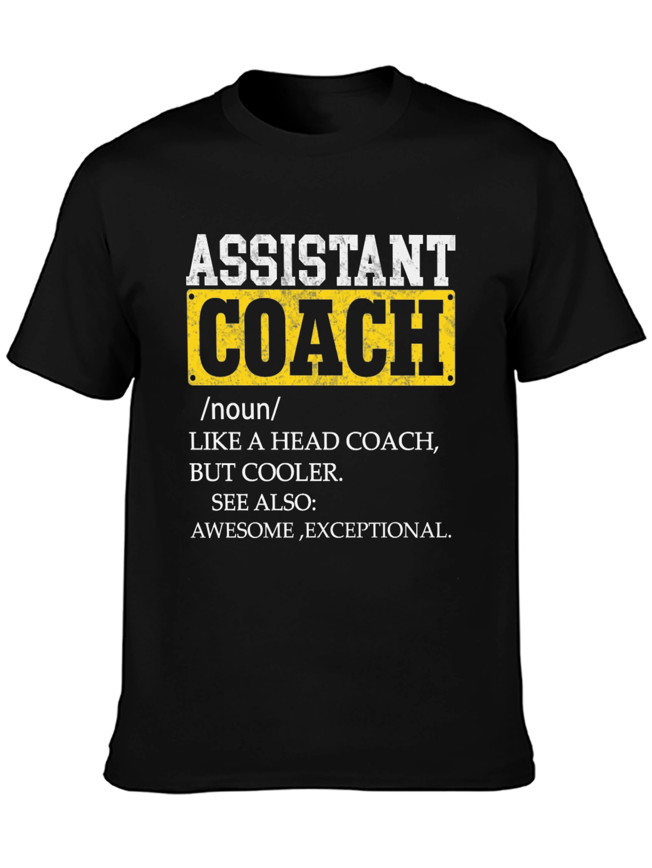 Assistant Coach Definition Graphic Tee
