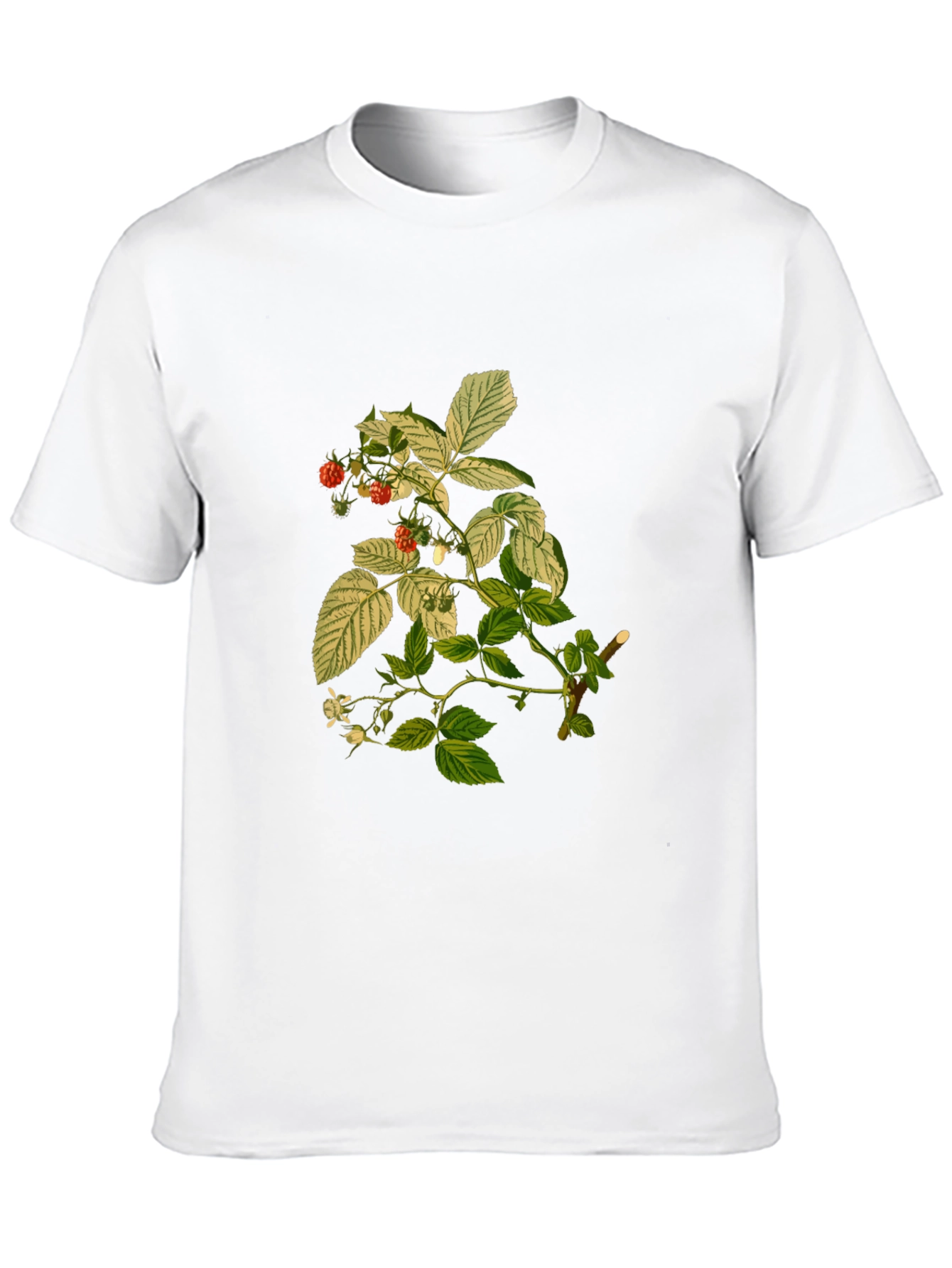 Botanical Print Tee - Black Cotton T-Shirt