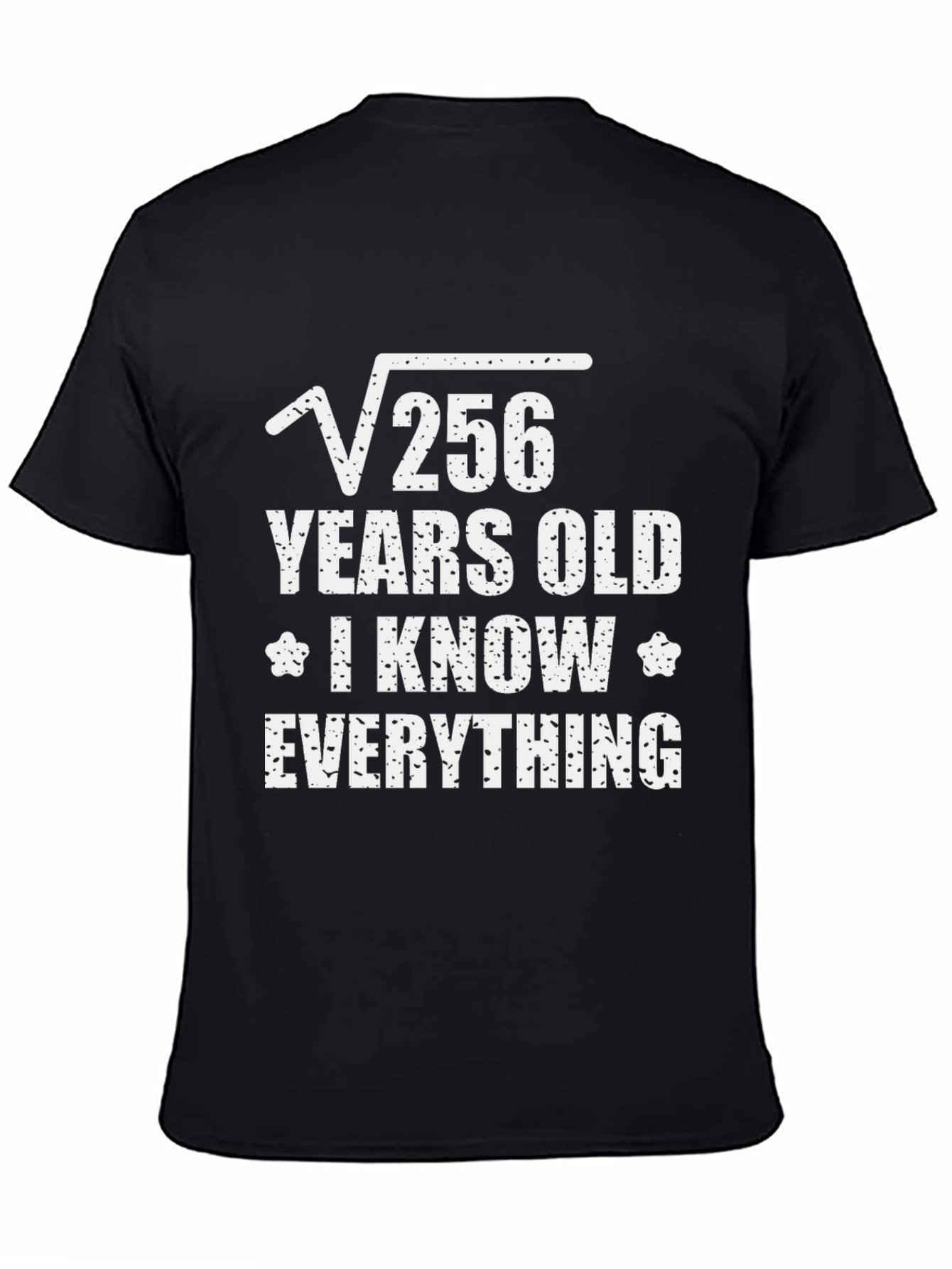 Funny Math 16 Years Old T-Shirt
