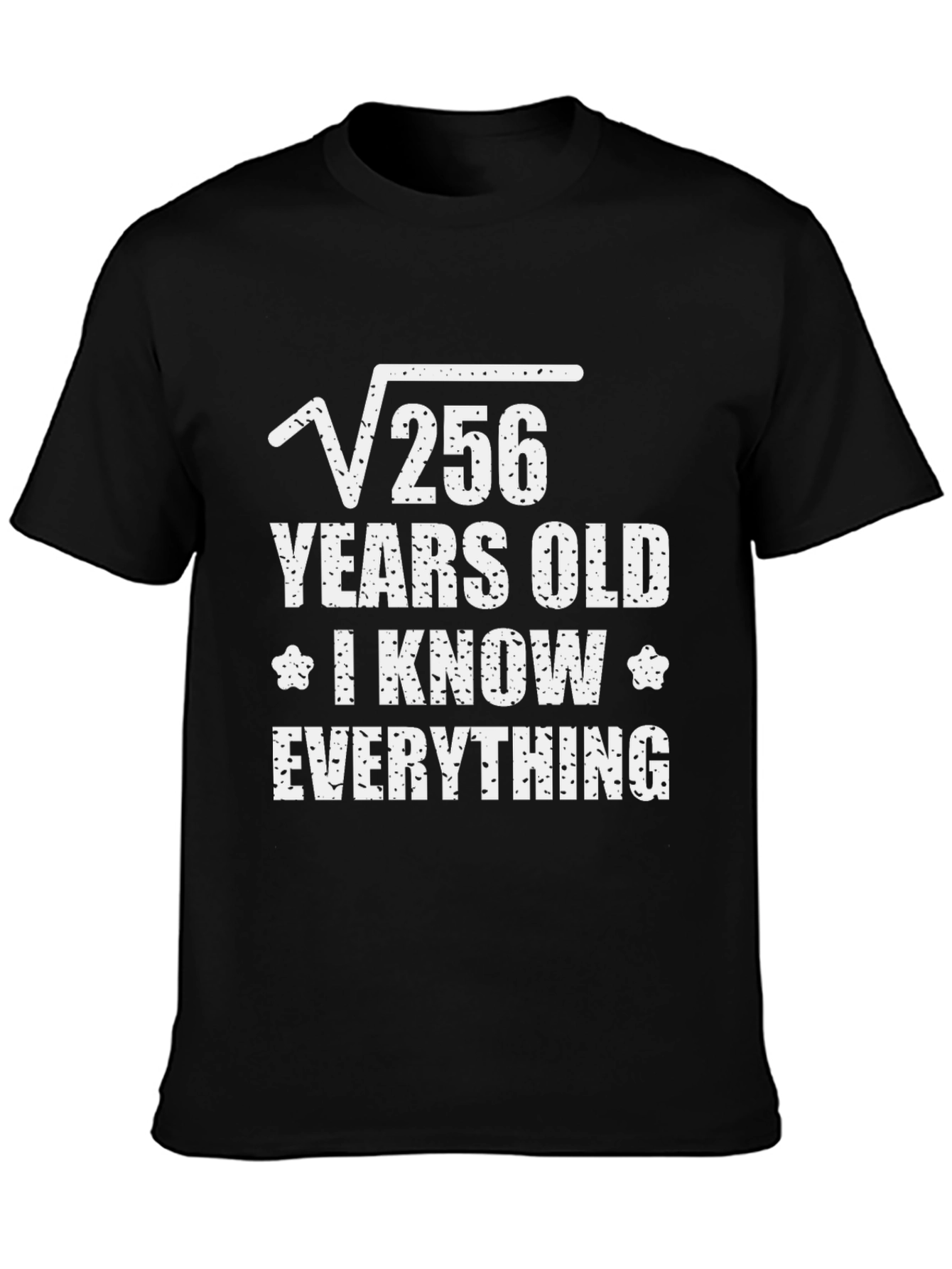 Funny Math 16 Years Old T-Shirt
