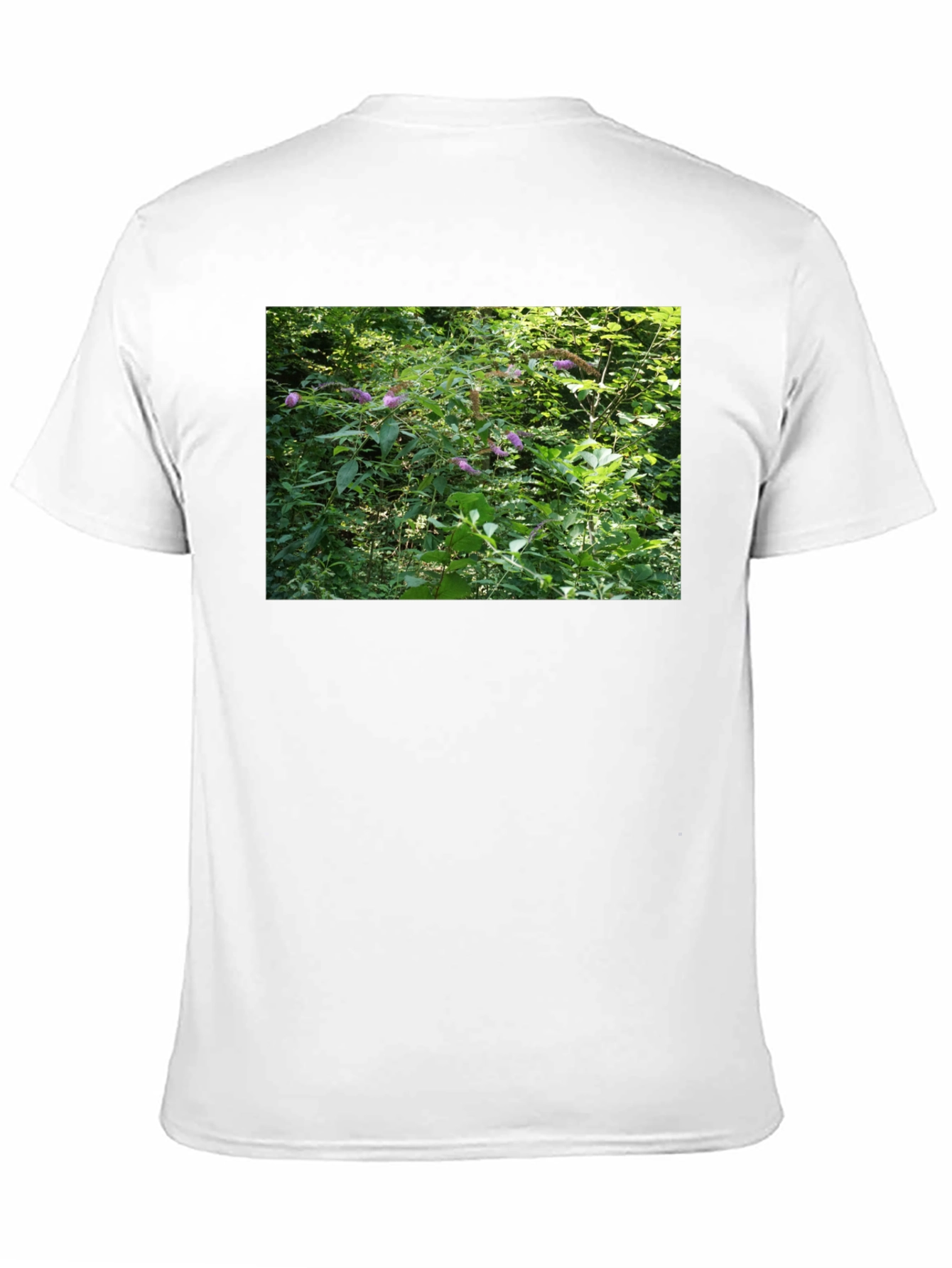Nature Scene T-Shirt - Black