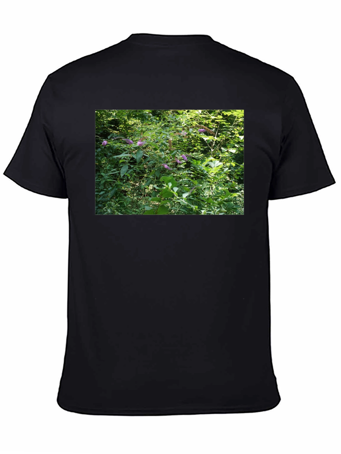Nature Scene T-Shirt - Black