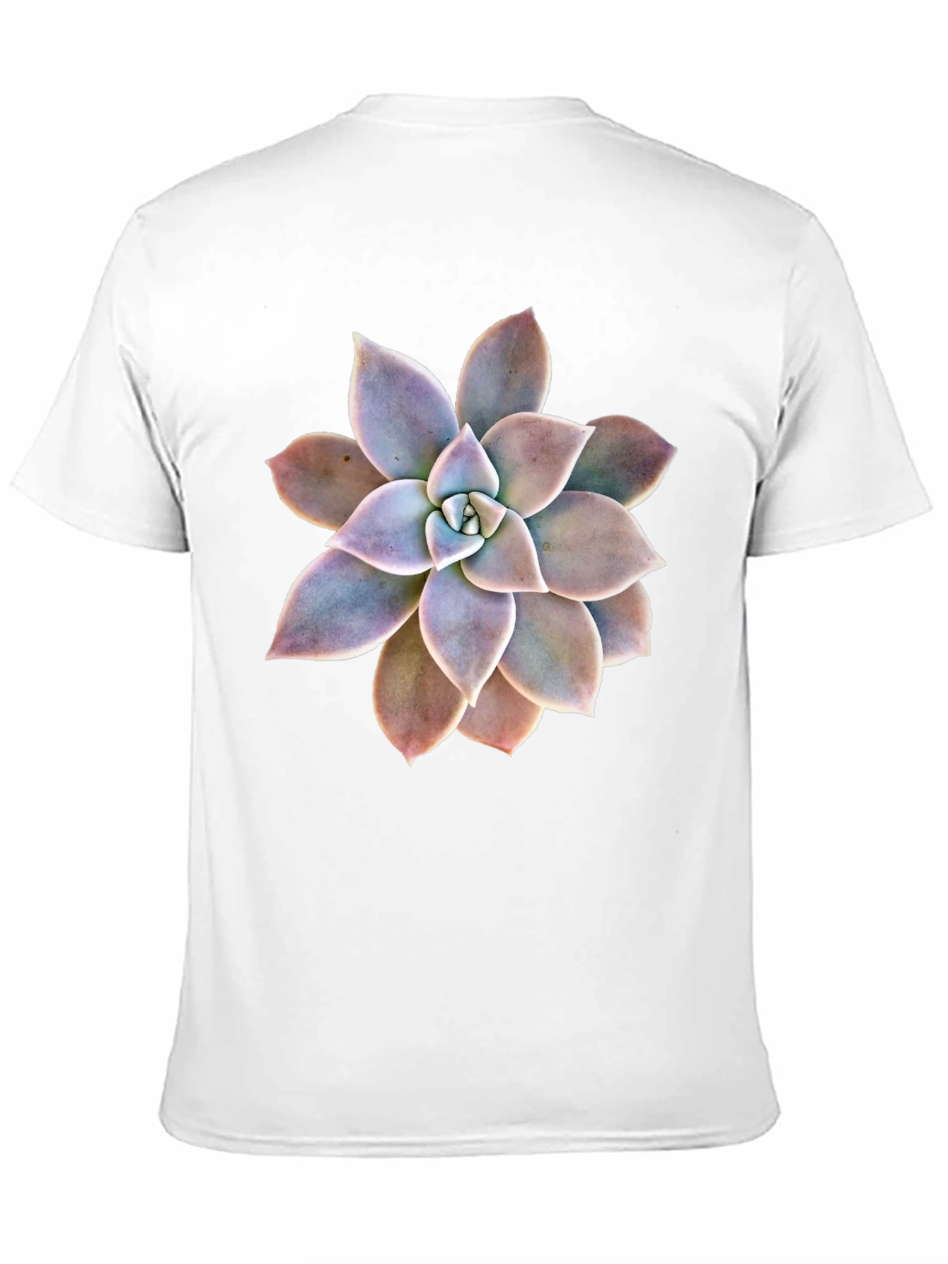 Succulent Graphic Black T-Shirt