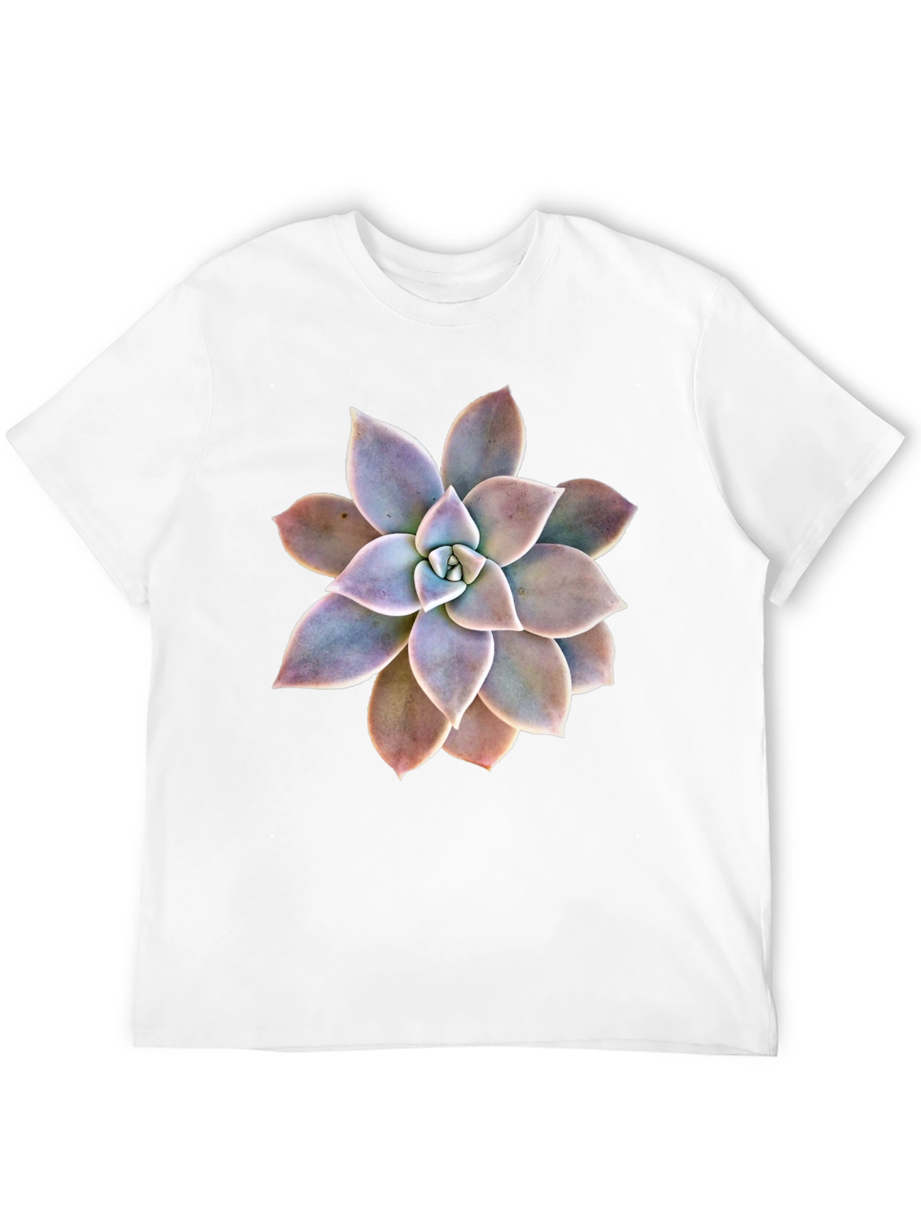 Succulent Graphic Black T-Shirt