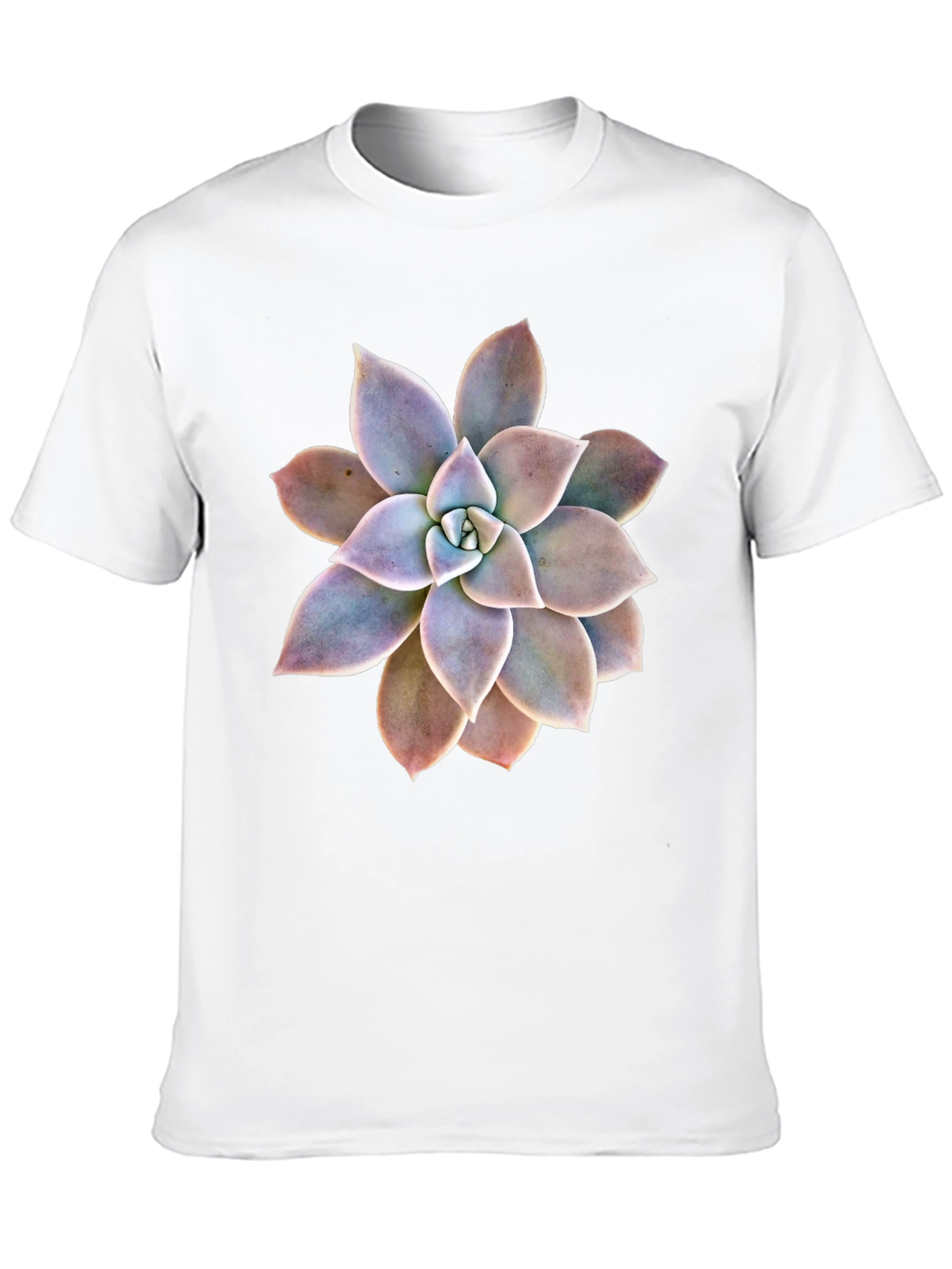 Succulent Graphic Black T-Shirt