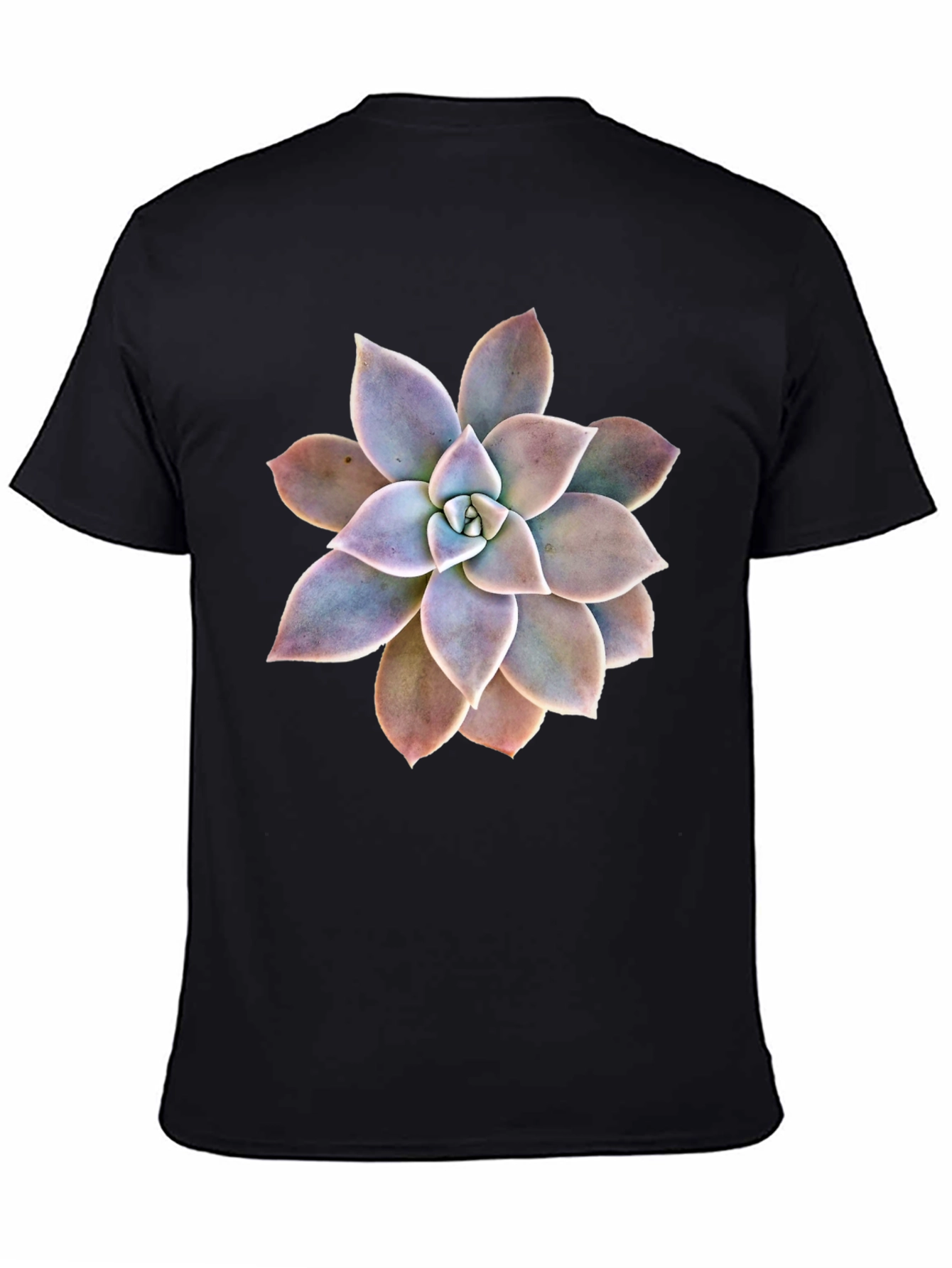Succulent Graphic Black T-Shirt