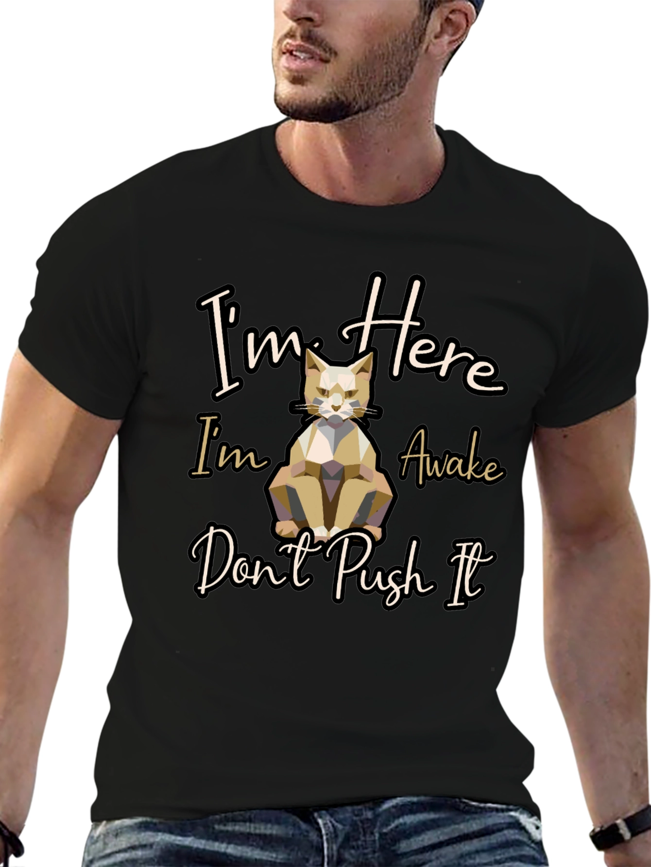 Im Here Awake Dont Push It Cat T-Shirt