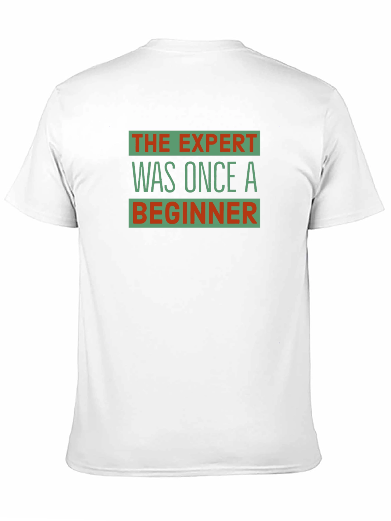 The Expert Was Once a Beginner Graphic T-Shirt