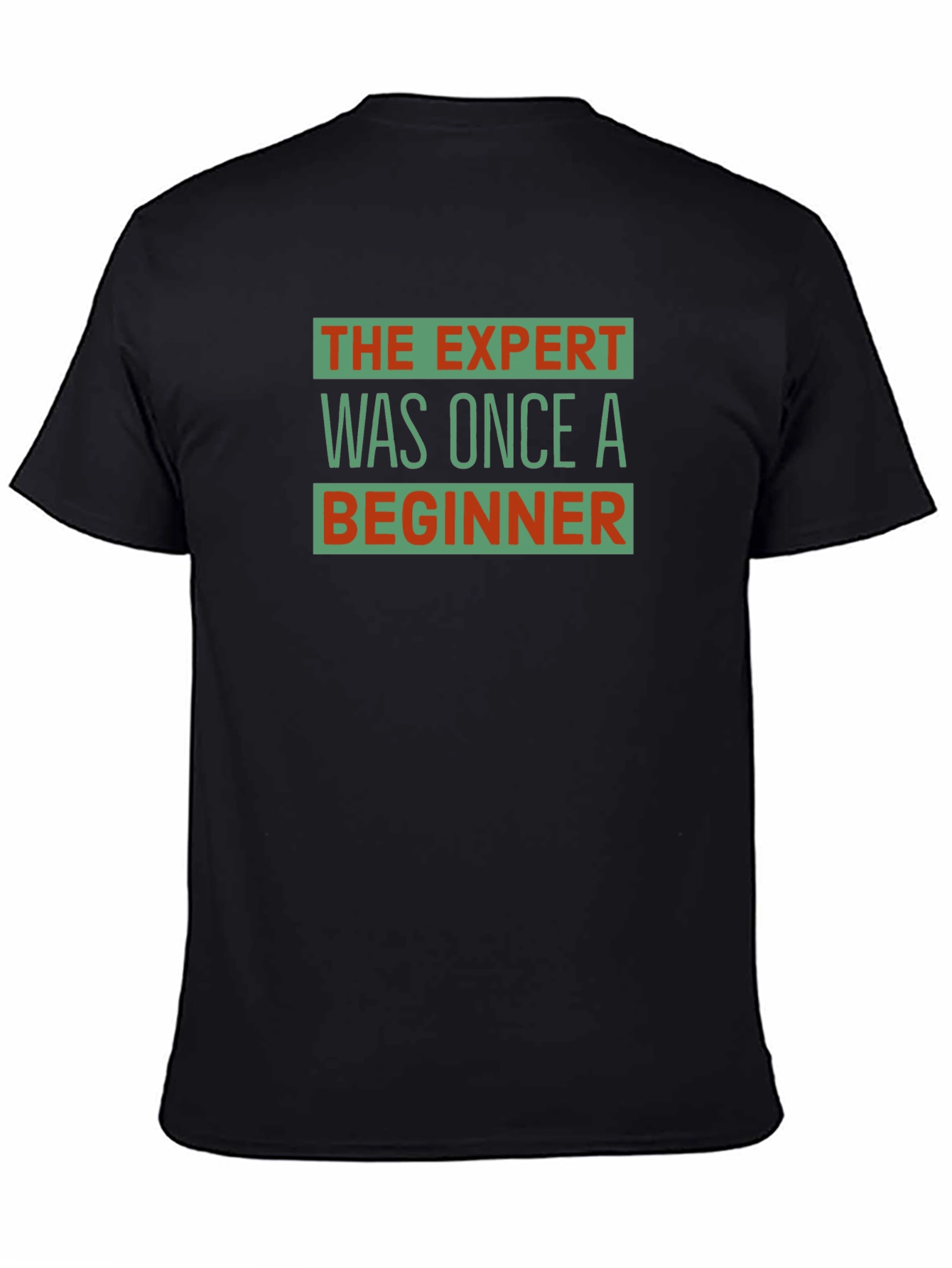 The Expert Was Once a Beginner Graphic T-Shirt