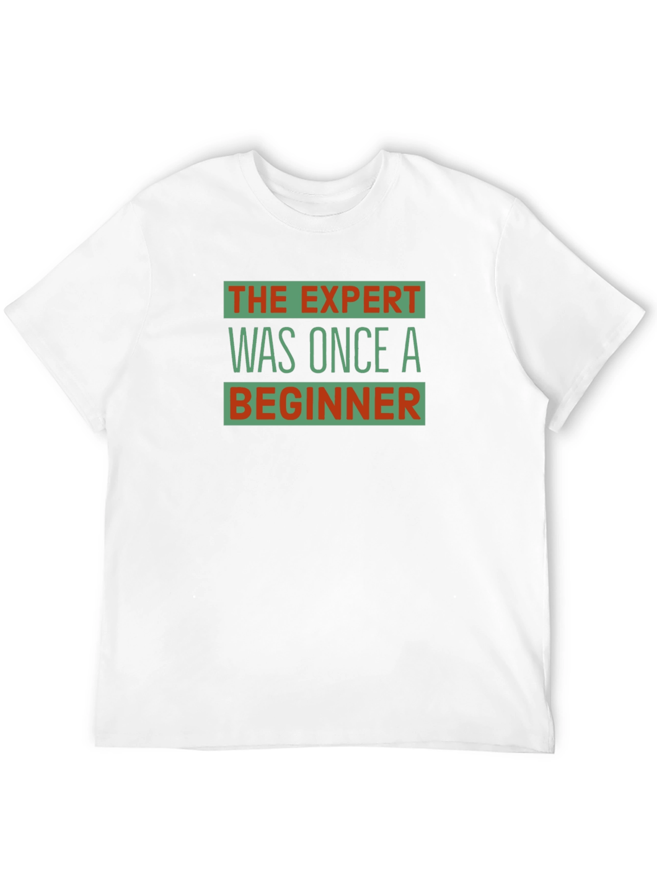 The Expert Was Once a Beginner Graphic T-Shirt