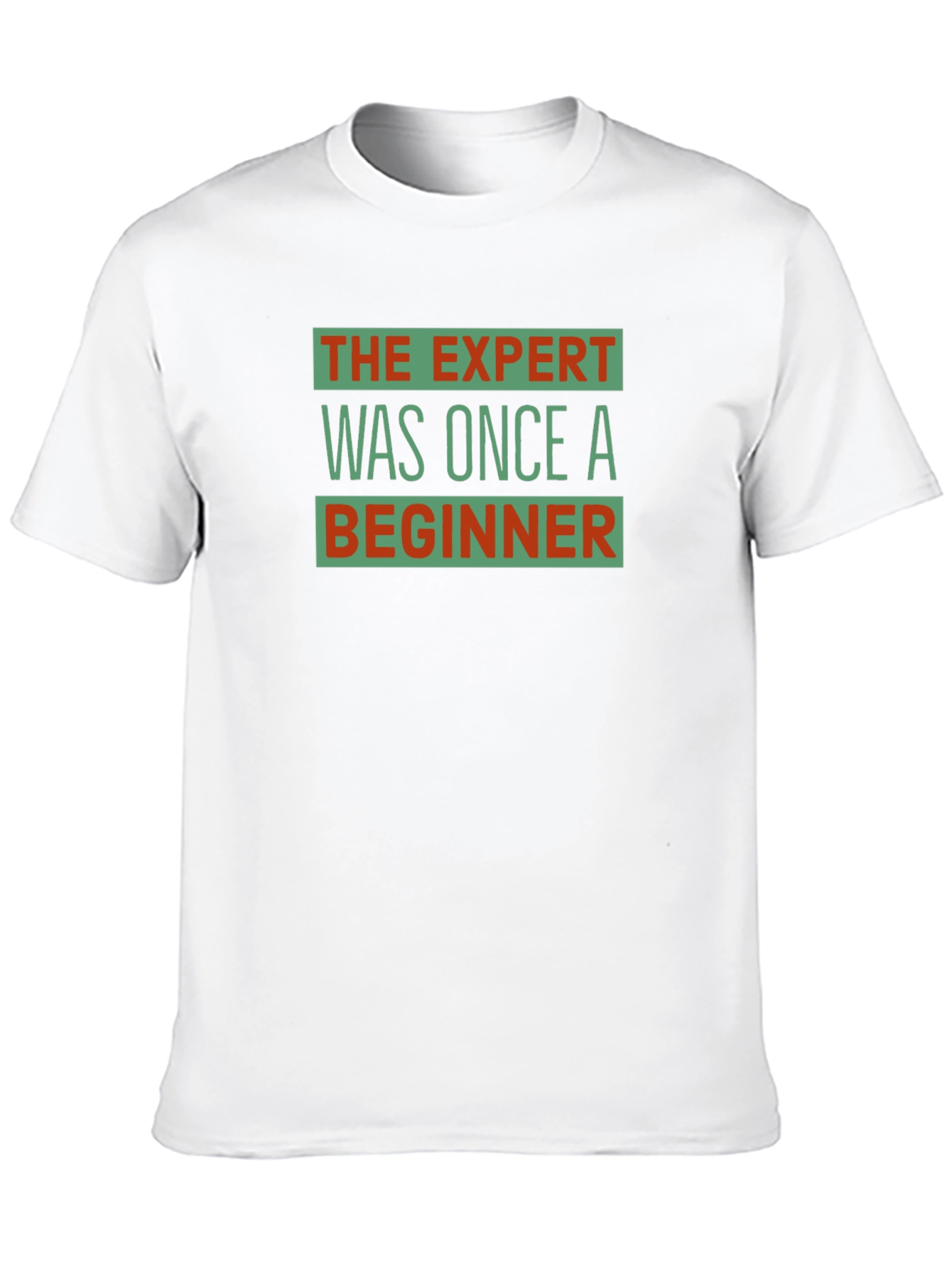 The Expert Was Once a Beginner Graphic T-Shirt