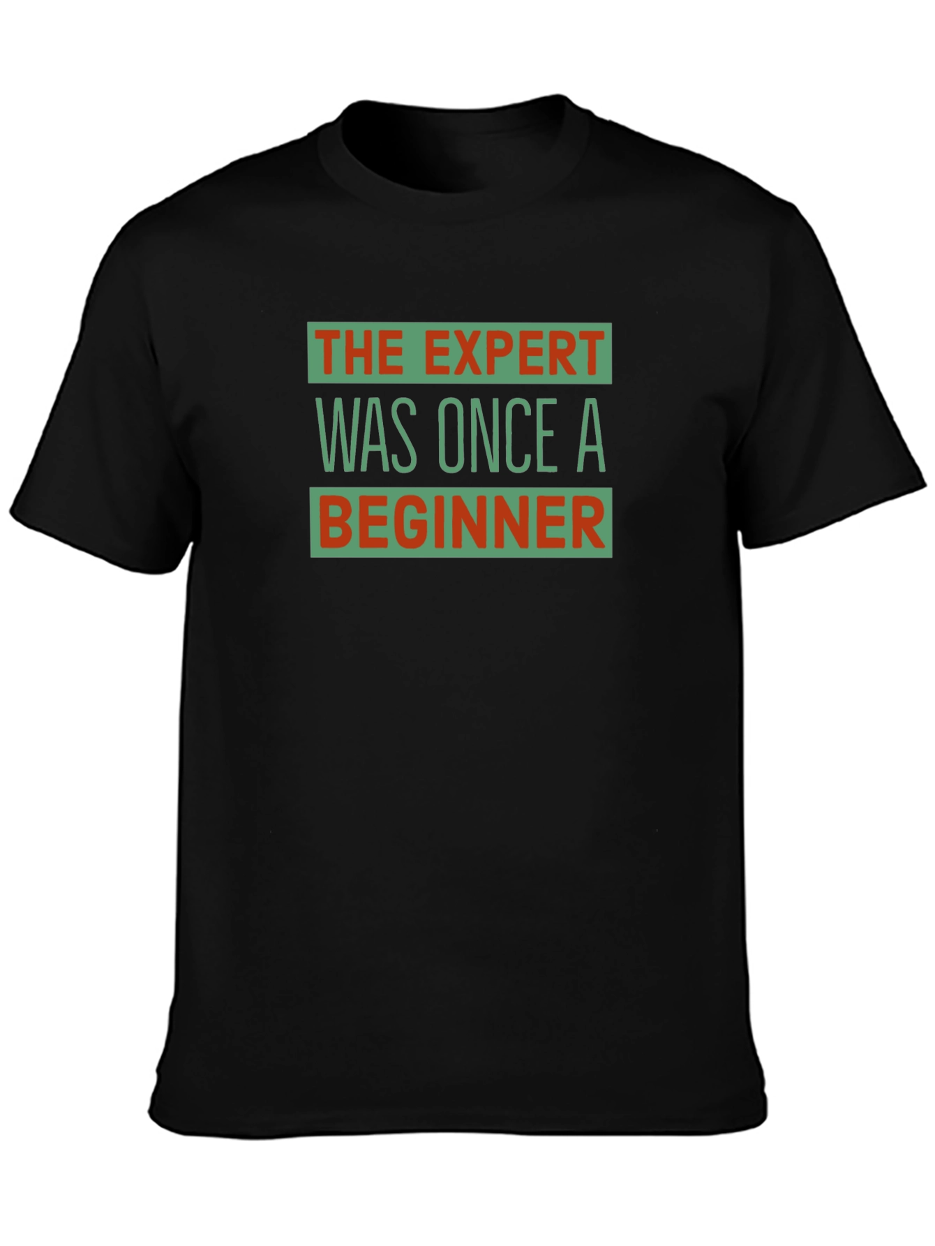 The Expert Was Once a Beginner Graphic T-Shirt