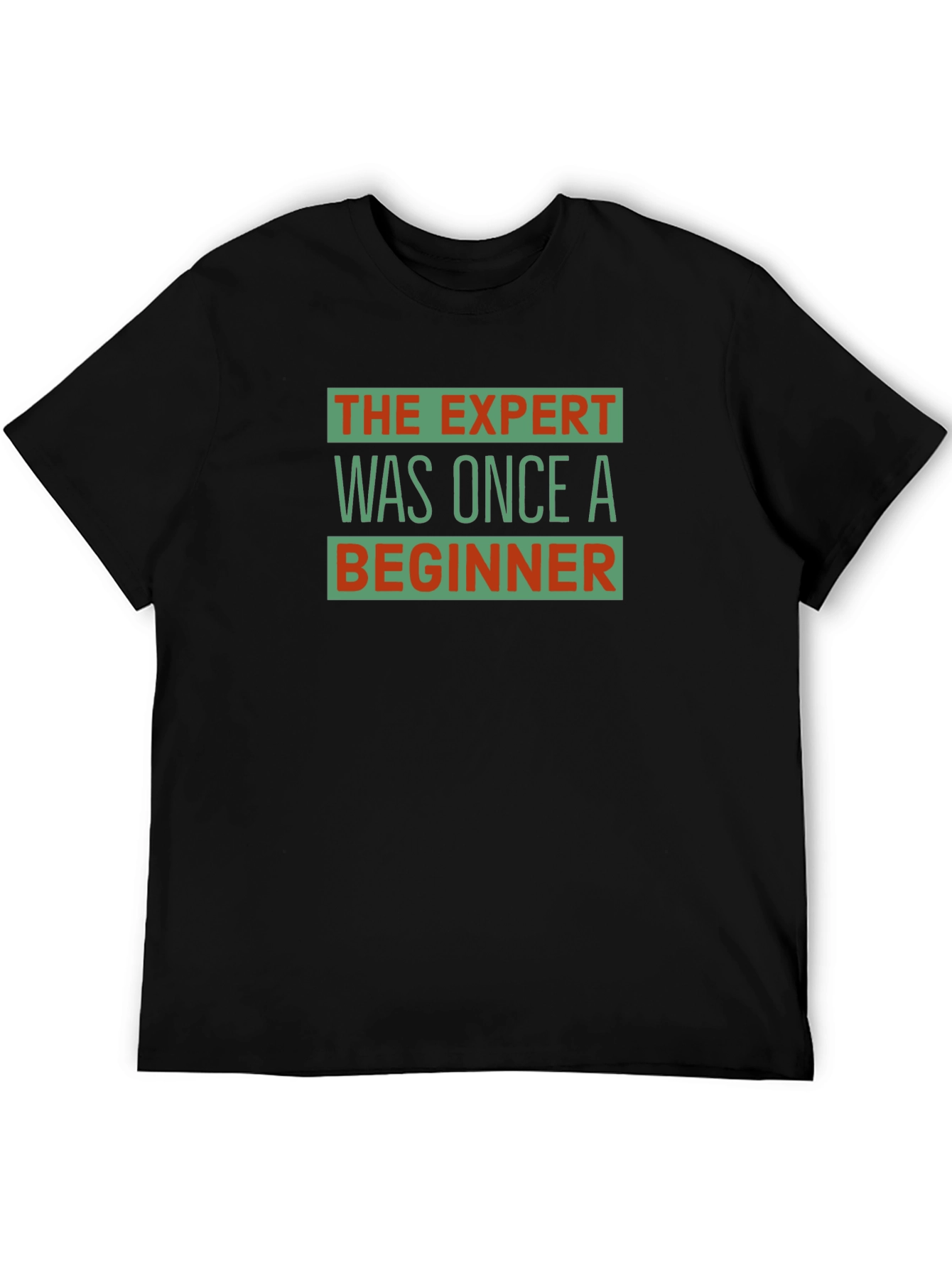 The Expert Was Once a Beginner Graphic T-Shirt