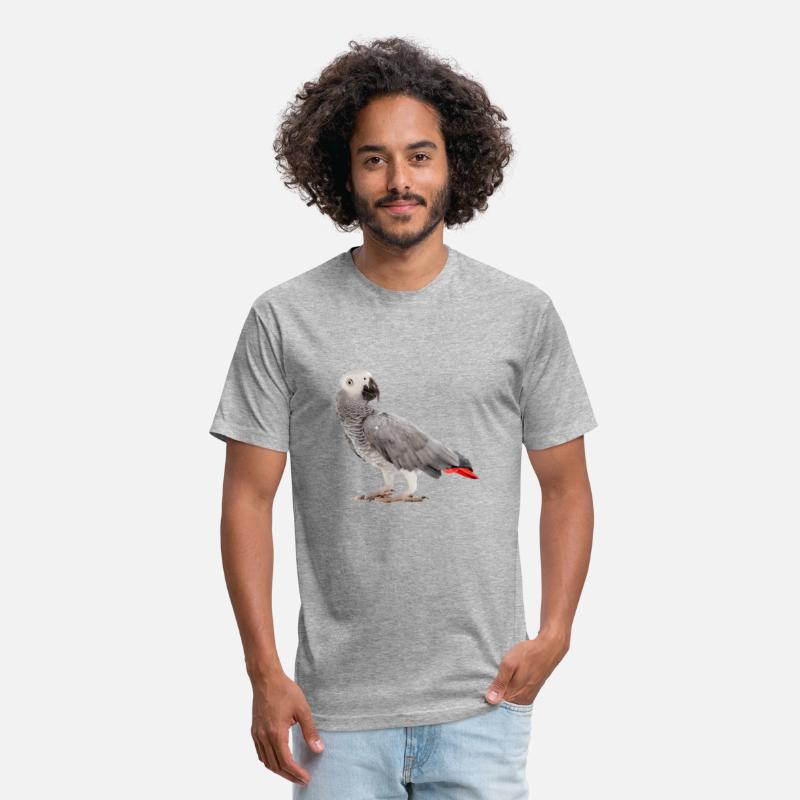 African Grey Parrot Birdss