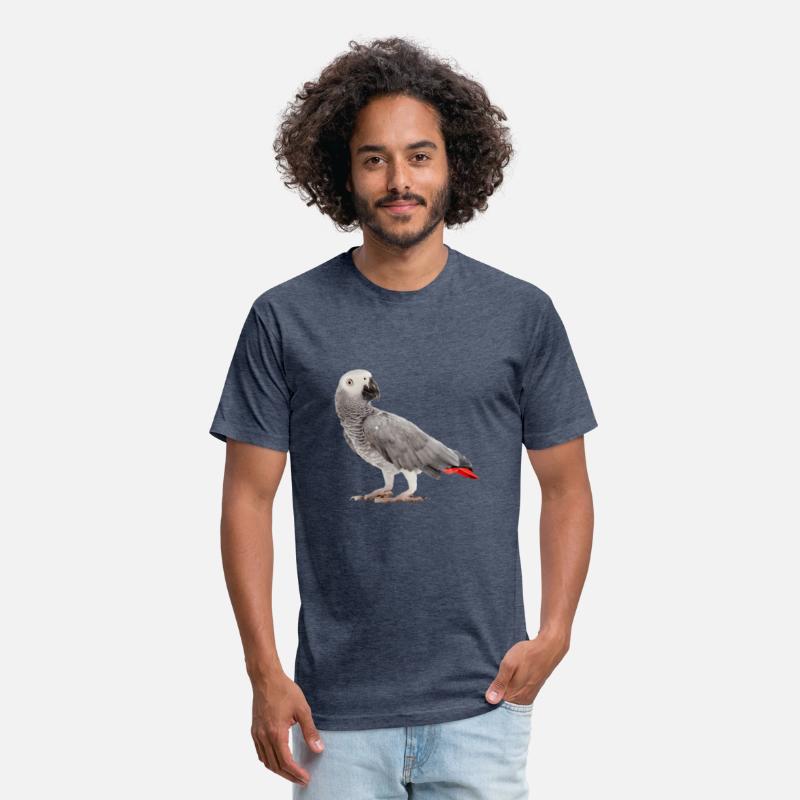 African Grey Parrot Birdss