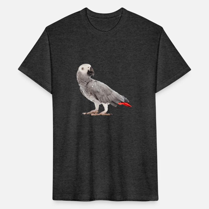 African Grey Parrot Birdss