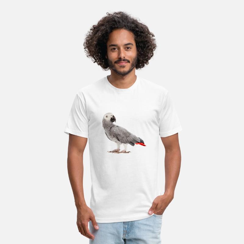 African Grey Parrot Birdss