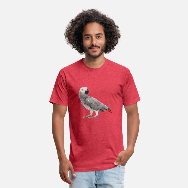 African Grey Parrot Birdss