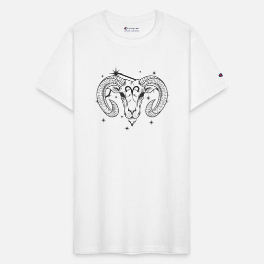 Aries Zodiac Sign March April