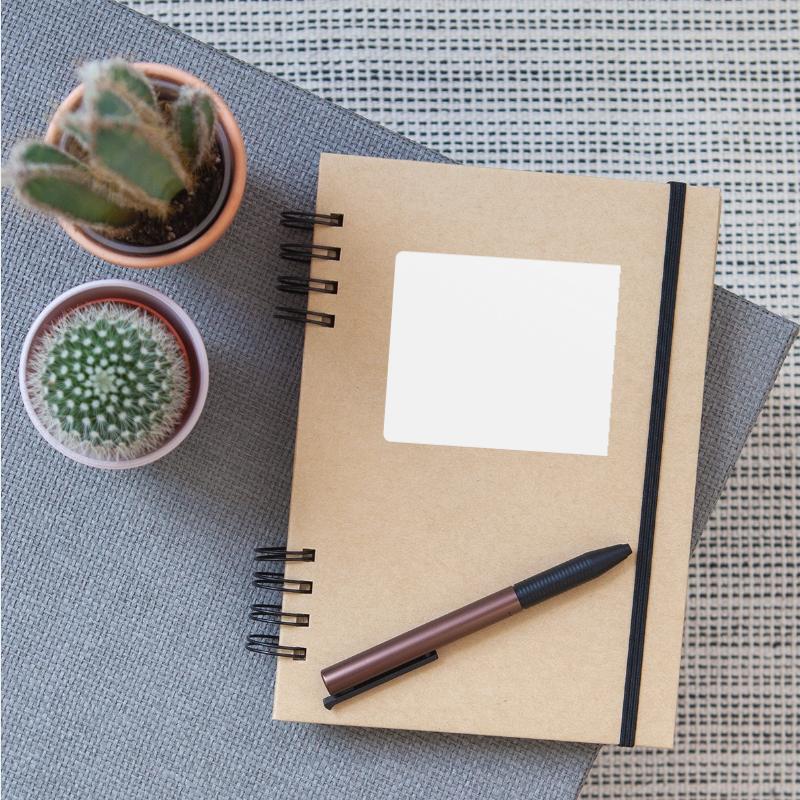 Cycling the mountain in France with the bike.