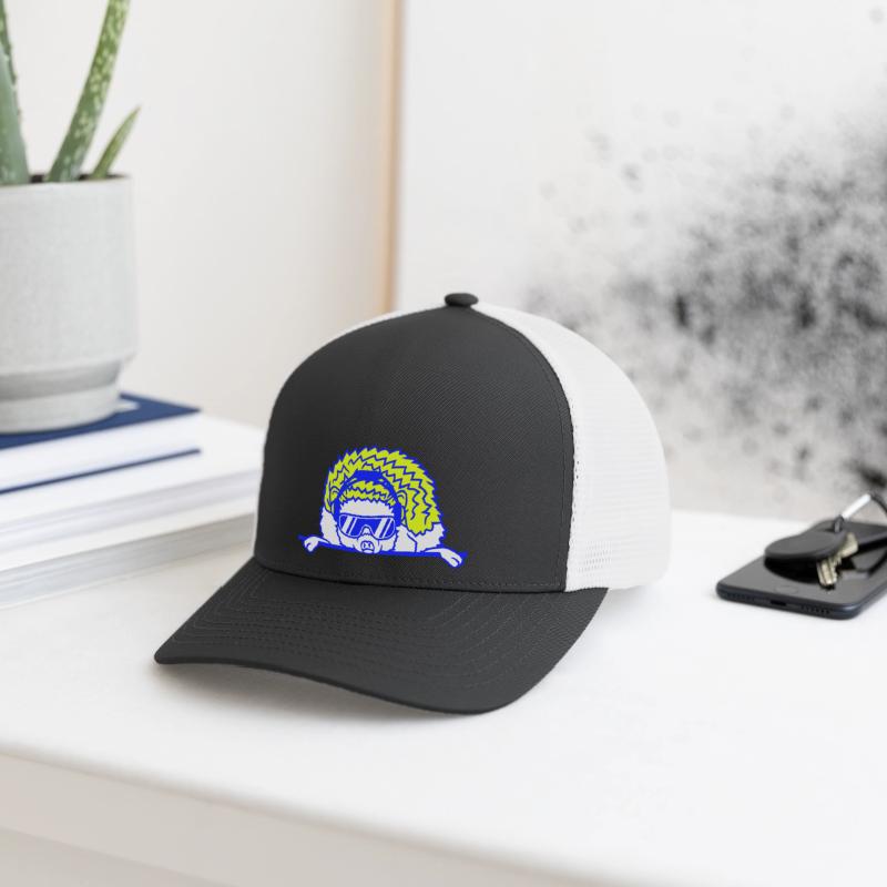 Funny Cool DJ Hedgehog Cute Party Animal Music Fun