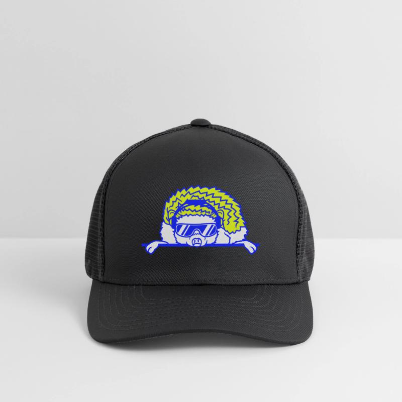 Funny Cool DJ Hedgehog Cute Party Animal Music Fun