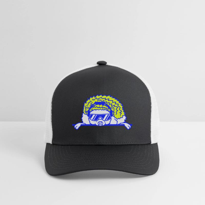 Funny Cool DJ Hedgehog Cute Party Animal Music Fun