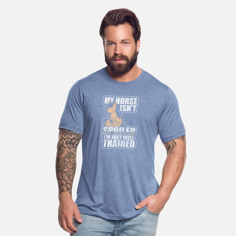 Horse Manes Rider Riding Stables