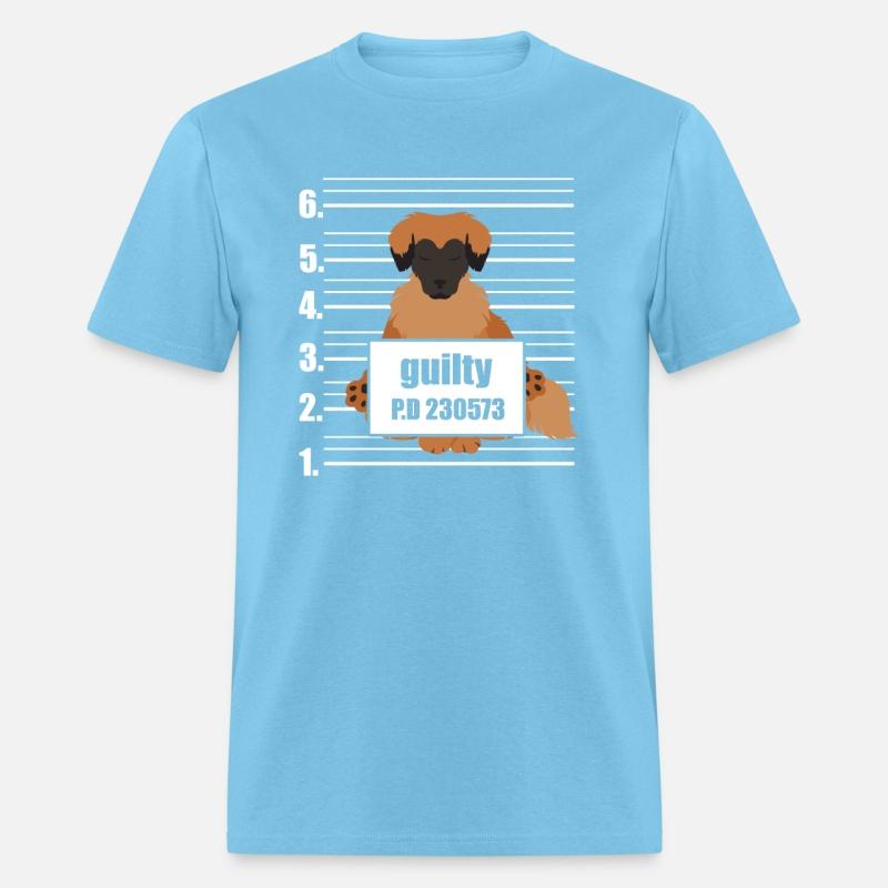 Humorous Guilt Closeup Identification Photo Dog