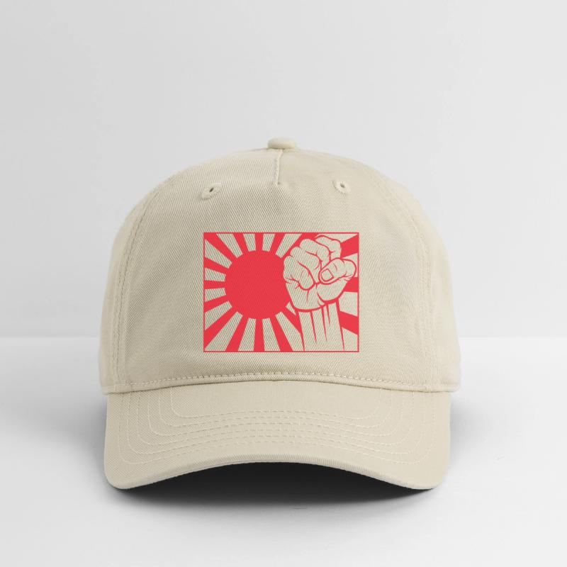 Japanese naval ensign and fist