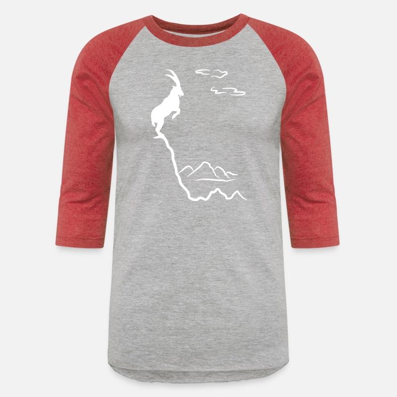 Mountain ibex, mountain goat