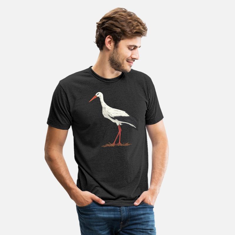 Stork Bird Ornithology Bird Watching