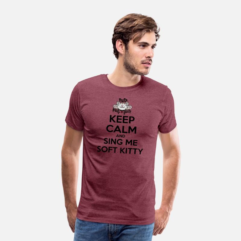 The Big Bang Theory Keep Calm Sing Soft Kitty