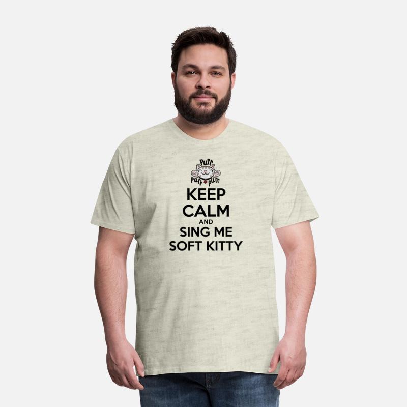 The Big Bang Theory Keep Calm Sing Soft Kitty