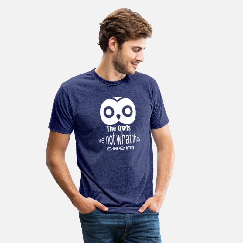 The Owls Are Not What They Seem