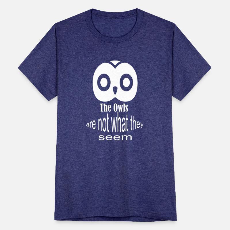 The Owls Are Not What They Seem